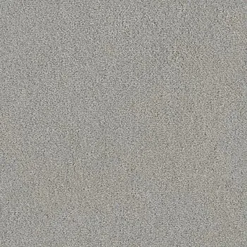 Draufsicht Girloon TWIN Teppichboden Velours 520 Grau, 2/4 m breit